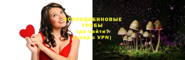 молекула духа Арсеньев