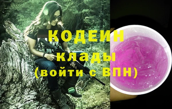 молекула духа Арсеньев