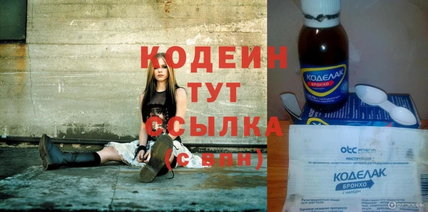 молекула духа Арсеньев