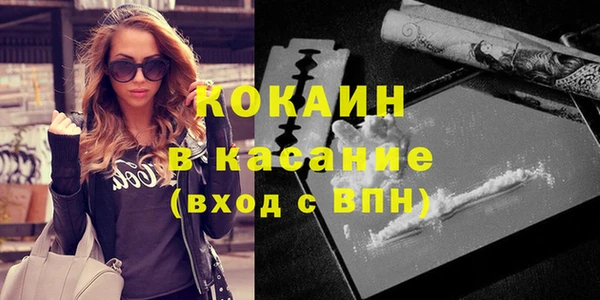 молекула духа Арсеньев