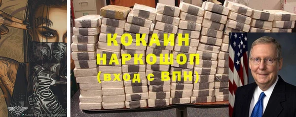 молекула духа Арсеньев