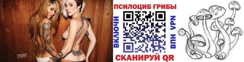 купить цена Всеволожск Псилоцибиновые грибы MAGIC MUSHROOMS