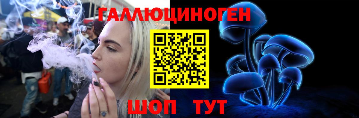 Всеволожск  Псилоцибиновые грибы Psilocybine cubensis  Вход с VPN  Псилоцибиновые грибы Psilocybe 